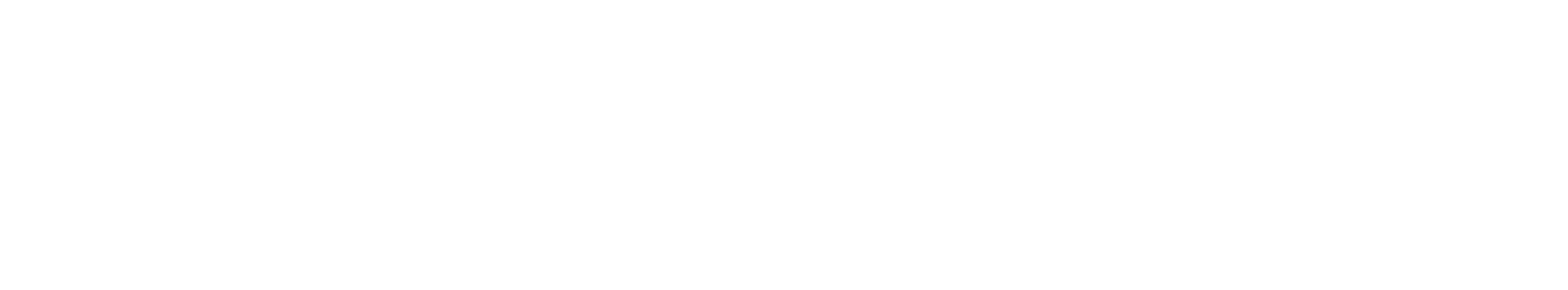 Light Iron Logo