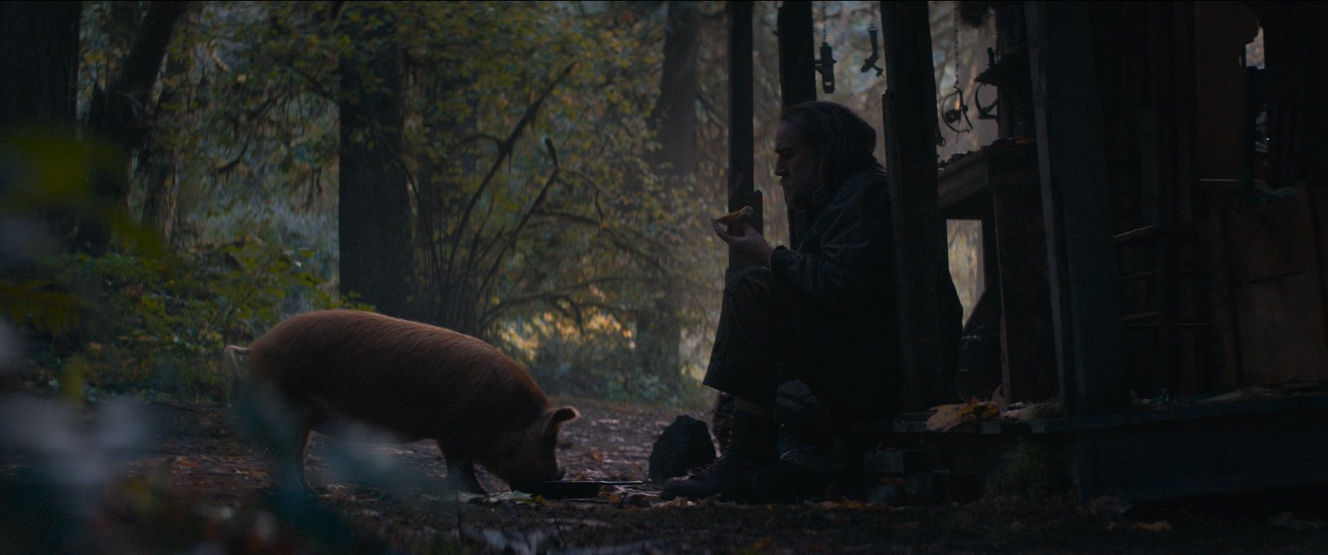 Pig