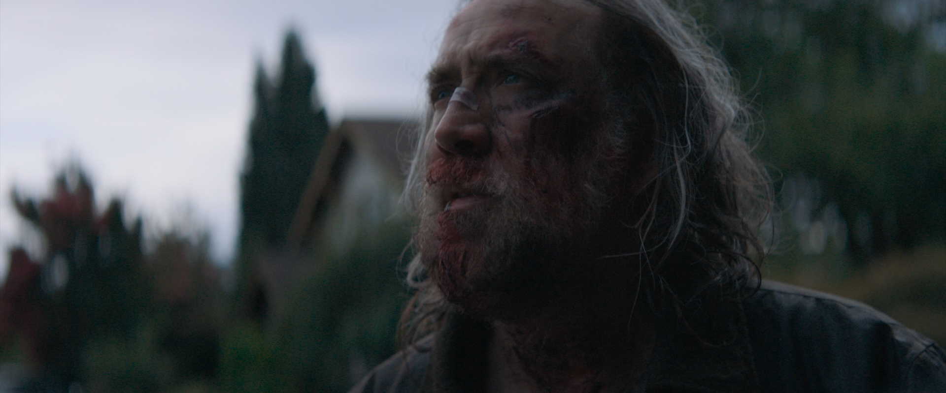 Pig still 5
